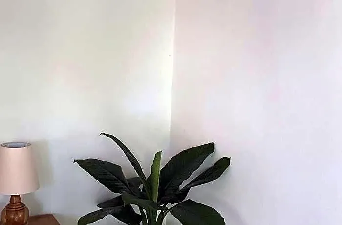 Tirtha Dawa 3* Sebatu (Bali)